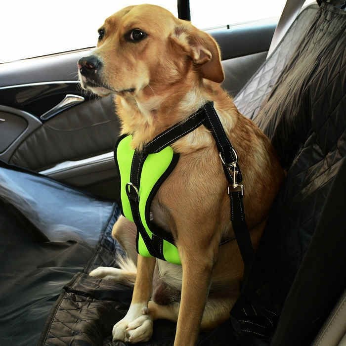 Köpek Araç Emniyet Kemeri ve Tasması Arnav Sarı