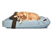 Köpek Yatağı ve Yastık Takımı - Jinzo Large