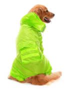 Büyük Irk Paçalı Köpek Yağmurluk - Baggi Yeşil
