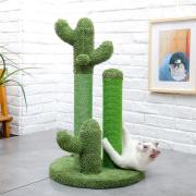 Cactus Kedi Tırmalama Seti