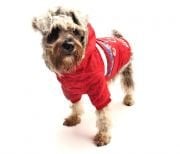 Köpek Mont - Alaska Kırmızı - Köpek Kıyafeti