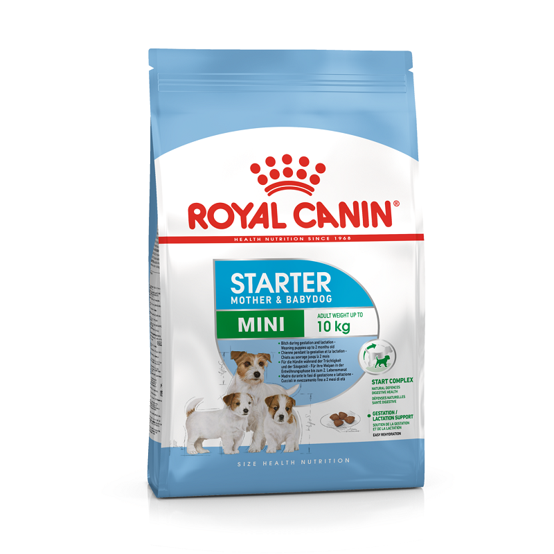 Royal Canin Mini Starter Yavru Kuru Köpek Maması 4 Kg