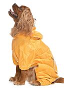 Küçük ve Orta Irk Köpek Paçalı Yağmurluk - Puka Sarı