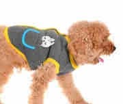Küçük ve Orta Irk Köpek Sweater - Dorta - Köpek Kıyafeti