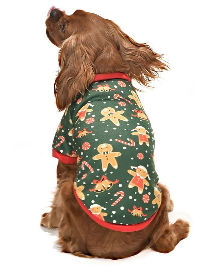 Küçük ve Orta Irk Köpek Sweater - Limba