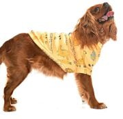 Küçük ve Orta Irk Köpek Sweater - Kindia