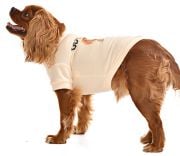Küçük ve Orta Irk Köpek Sweater - Lammi