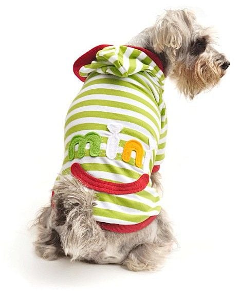 Köpek T-Shirt - Mini Yeşil - Köpek Kıyafetleri