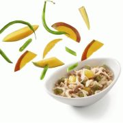 Schesir Salads Poke Tavuk, Sığır, Mango, Fasulyeli Kedi Salatası 85gr