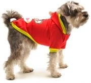 Köpek Sweatshirt - Funny Monkey Kırmızı