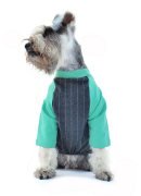 Köpek Küçük ve Orta Irk Tulum Gildi Yeşil - Köpek Kıyafetleri