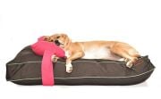 Köpek Yatağı ve Yastık Takımı - Lupa Large