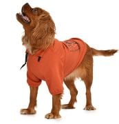 Küçük ve Orta Irk Köpek Sweatshirt - Gigi- Köpek Kıyafeti