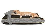 Köpek Yatağı ve Yastık Takımı - Moga Large