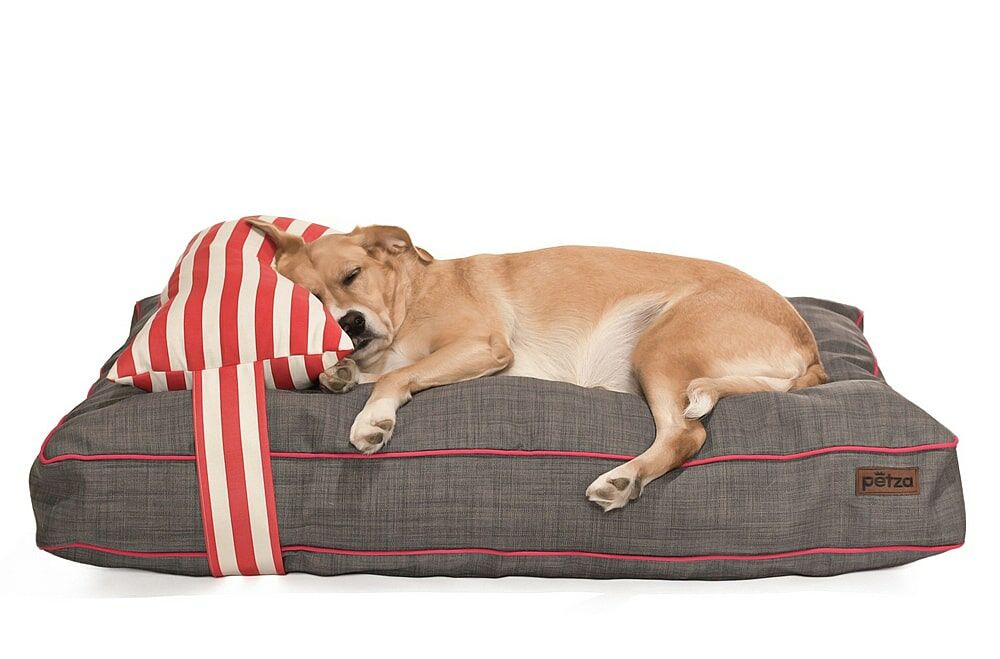 Köpek Yatağı ve Yastık Takımı - Tunga Large