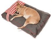Köpek Yatağı ve Yastık Takımı - Tunga Large