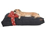 Köpek Yatağı ve Yastık Takımı - Loro Large