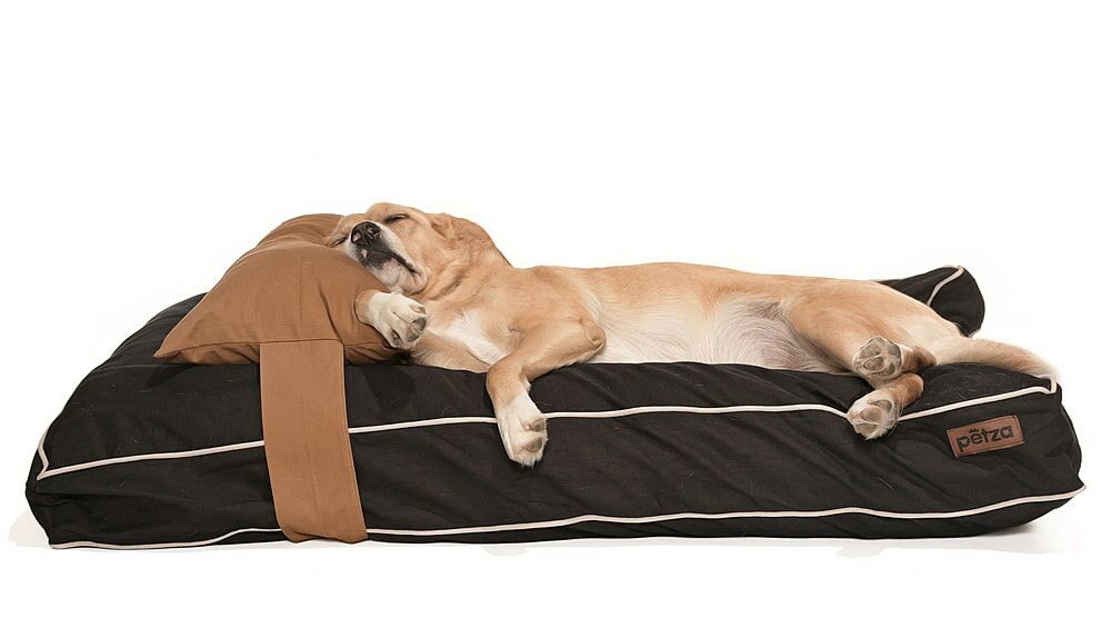 Köpek Yatağı ve Yastık Takımı - Baneta Large