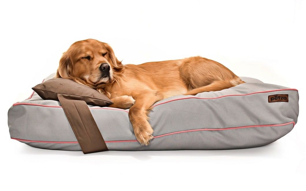 Köpek Yatağı ve Yastık Takımı - Madcal Large