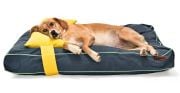 Köpek Yatağı ve Yastık Takımı - Danica Large
