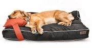 Köpek Yatağı ve Yastık Takımı - Jewel Large