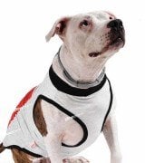 Büyük Irk Köpek T-shirt Natron - Köpek Kıyafeti