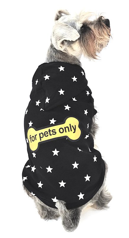 Köpek Küçük ve Orta Irk Sweatshirt Juho Siyah