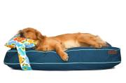 Köpek Yatağı ve Yastık Takımı - Jasiel Large