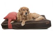 Köpek Yatağı ve Yastık Takımı - Huli Large