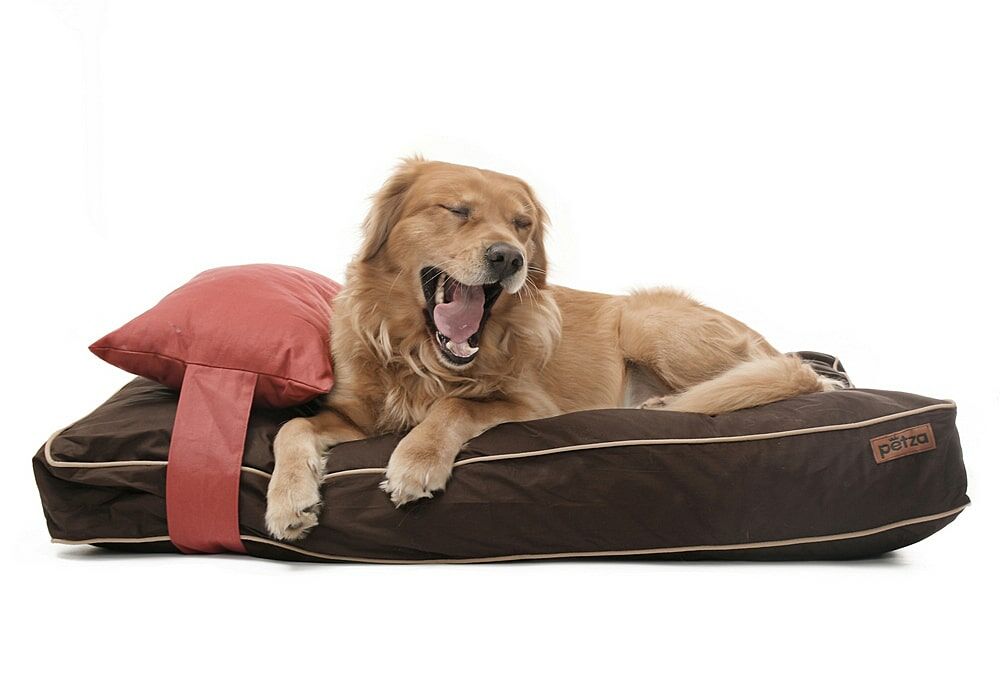 Köpek Yatağı ve Yastık Takımı - Huli Large