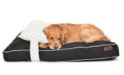 Köpek Yatağı ve Yastık Takımı - Tuk Large