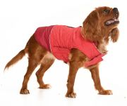 Küçük ve Orta Irk Köpek Mont - Nifler Kırmızı