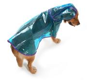 Köpek Büyük Irk Yağmurluk Otso Şeffaf Mavi