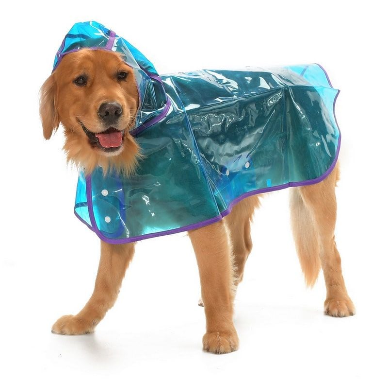 Köpek Büyük Irk Yağmurluk Otso Şeffaf Mavi