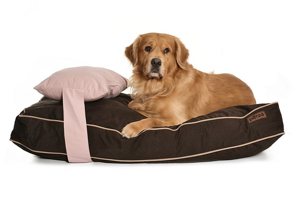 Köpek Yatağı ve Yastık Takımı -  Zuri Large