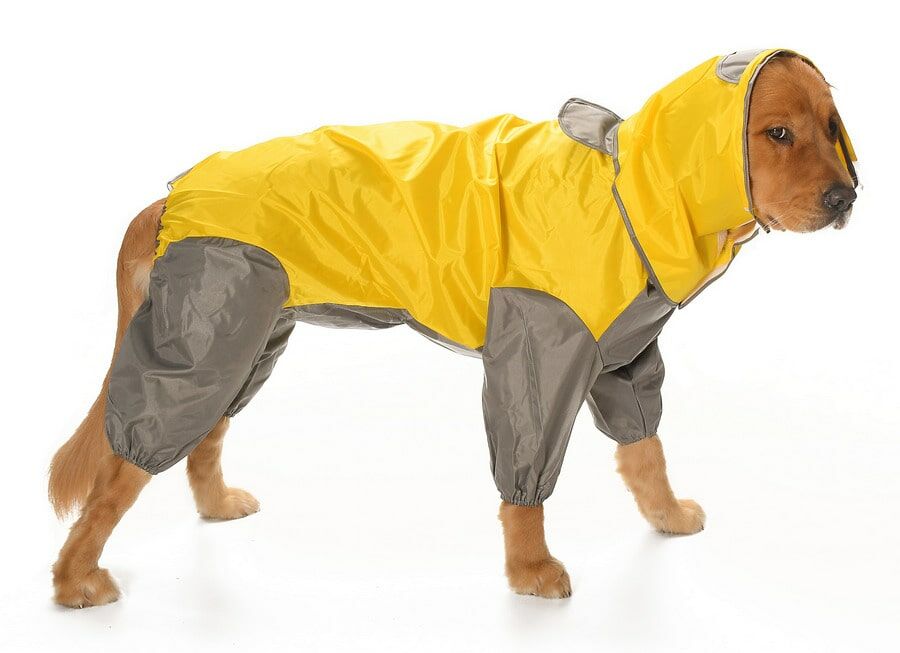 Matabor Dişi Köpek Yağmurluk