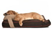 Köpek Yatağı ve Yastık Takımı - Wiatt Large