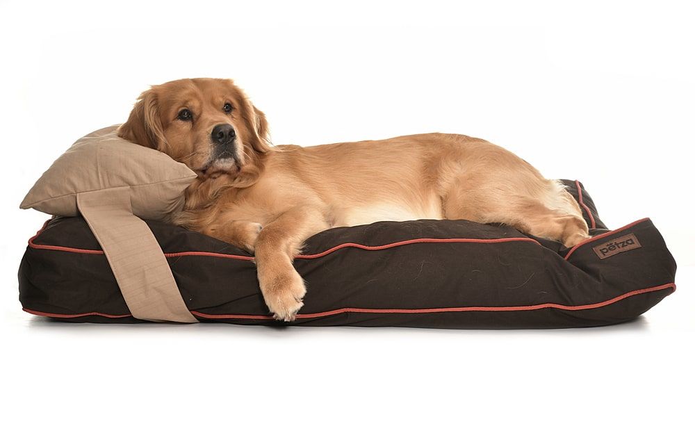Köpek Yatağı ve Yastık Takımı - Wiatt Large