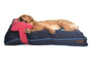 Köpek Yatağı ve Yastık Takımı - Pepa Large