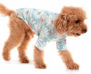 Küçük ve Orta Irk Köpek Gömlek Birgit - Köpek Kıyafeti