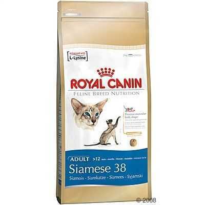 Royal Canine Siamese 38 Kuru Kedi Maması 2 Kg