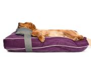 Köpek Yatağı ve Yastık Takımı - Evan Large
