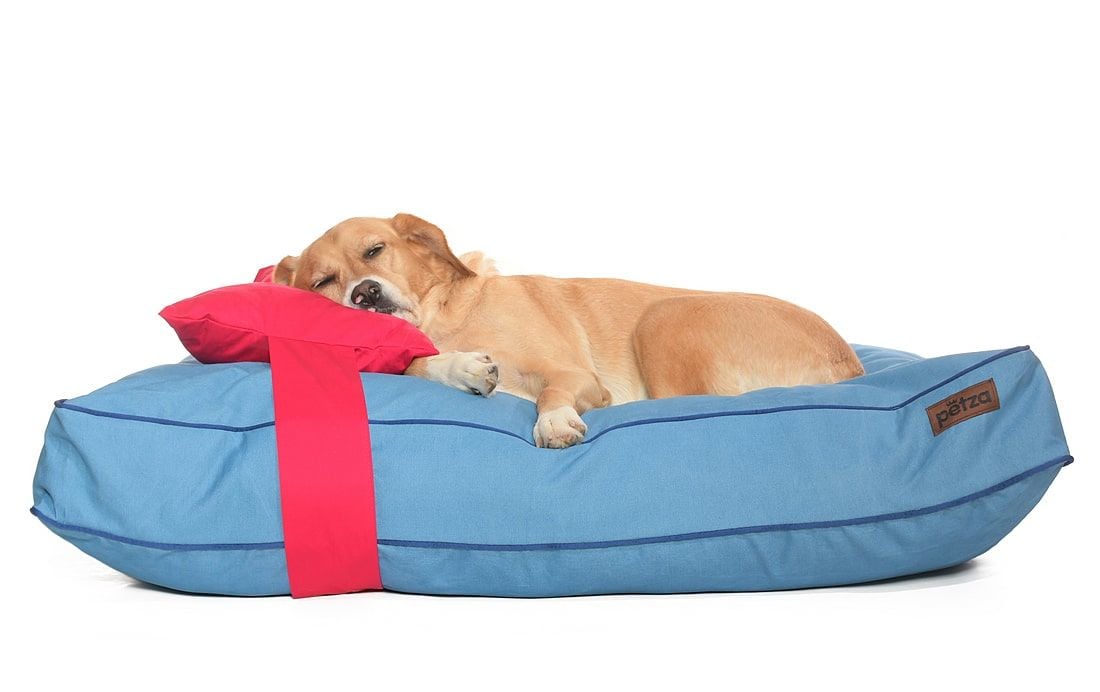 Köpek Yatağı ve Yastık Takımı - Bashiru Large