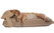 Köpek Yatağı ve Yastık Takımı - Massanga Large