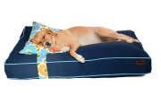 Köpek Yatağı ve Yastık Takımı - Miska Large