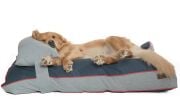 Köpek Yatağı ve Yastık Takımı - Lemina Large