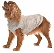 Küçük ve Orta Irk Köpek Polar Sweater - Ninzi