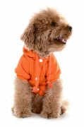 Küçük ve Orta Irk Köpek Sweatshirt - Marmit Turuncu - Köpek Kıyafeti