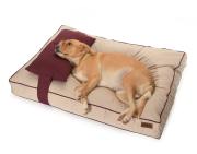 Köpek Yatağı ve Yastık Takımı - Arwa Large