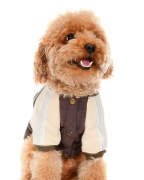 Küçük ve Orta Irk Köpek Sweatshirt - Dagmer - Köpek Kıyafeti